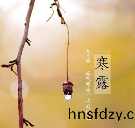 寒露至(zhi)，鞦意濃